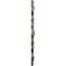 Ekena Millwork Angel Ceiling Medallion (Fits Canopies up to 4 3/8"), 20 7/8"OD x 3 5/8"ID x 1"P, Athenian Green CM20ANAGF - alternate 2